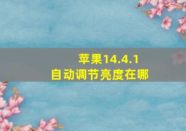 苹果14.4.1自动调节亮度在哪