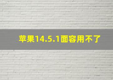 苹果14.5.1面容用不了