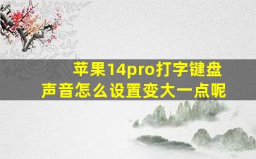 苹果14pro打字键盘声音怎么设置变大一点呢