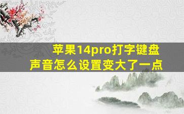 苹果14pro打字键盘声音怎么设置变大了一点