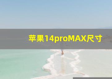 苹果14proMAX尺寸