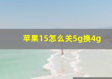 苹果15怎么关5g换4g