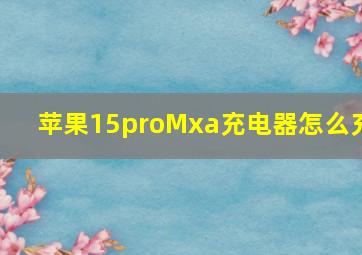 苹果15proMxa充电器怎么充