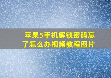 苹果5手机解锁密码忘了怎么办视频教程图片