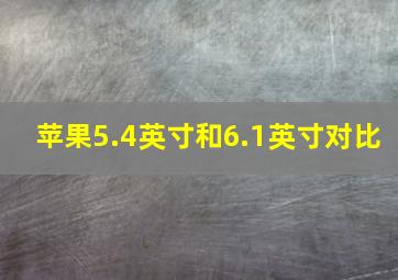 苹果5.4英寸和6.1英寸对比