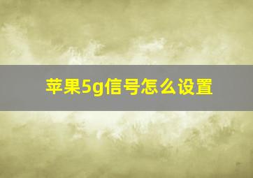 苹果5g信号怎么设置