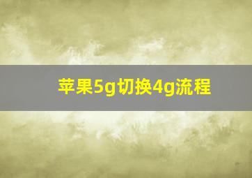 苹果5g切换4g流程