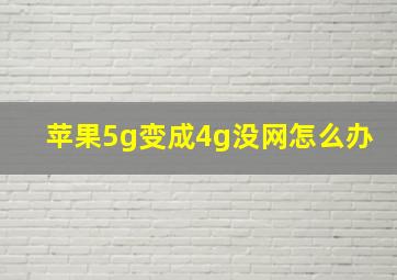 苹果5g变成4g没网怎么办