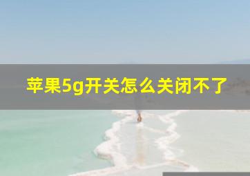 苹果5g开关怎么关闭不了