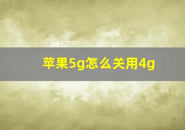 苹果5g怎么关用4g