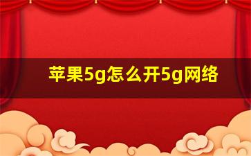 苹果5g怎么开5g网络