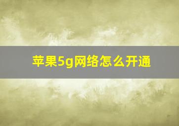 苹果5g网络怎么开通