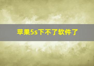 苹果5s下不了软件了