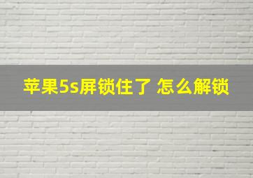 苹果5s屏锁住了 怎么解锁