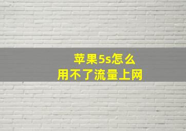 苹果5s怎么用不了流量上网