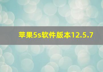 苹果5s软件版本12.5.7