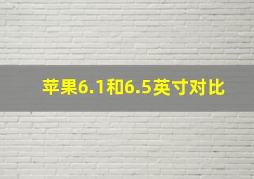 苹果6.1和6.5英寸对比