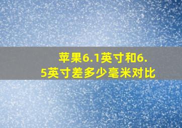 苹果6.1英寸和6.5英寸差多少毫米对比