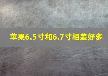 苹果6.5寸和6.7寸相差好多