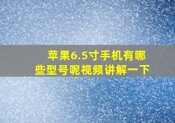 苹果6.5寸手机有哪些型号呢视频讲解一下