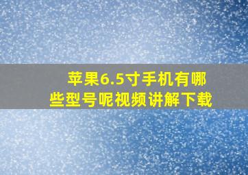 苹果6.5寸手机有哪些型号呢视频讲解下载