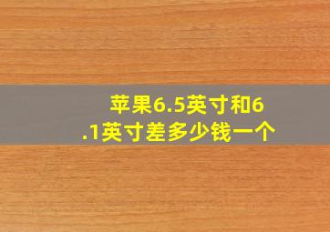 苹果6.5英寸和6.1英寸差多少钱一个