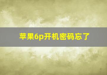 苹果6p开机密码忘了