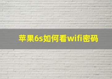 苹果6s如何看wifi密码