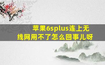 苹果6splus连上无线网用不了怎么回事儿呀