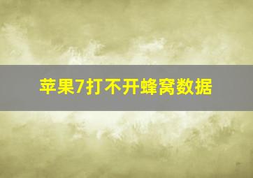 苹果7打不开蜂窝数据