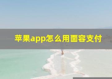 苹果app怎么用面容支付