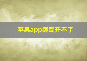 苹果app跟踪开不了