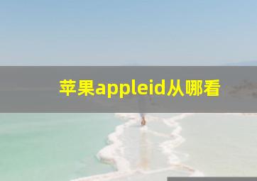 苹果appleid从哪看