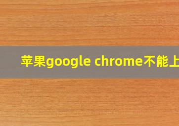 苹果google chrome不能上网