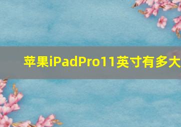 苹果iPadPro11英寸有多大