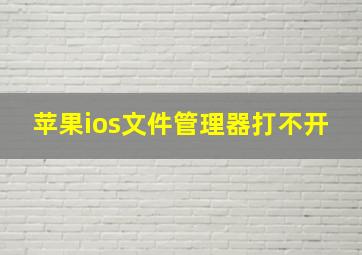 苹果ios文件管理器打不开