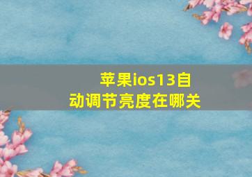 苹果ios13自动调节亮度在哪关