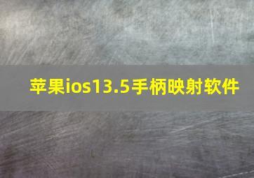 苹果ios13.5手柄映射软件