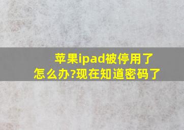 苹果ipad被停用了怎么办?现在知道密码了