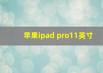 苹果ipad pro11英寸