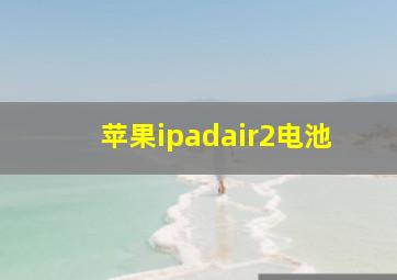 苹果ipadair2电池