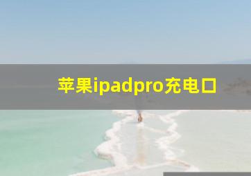 苹果ipadpro充电口