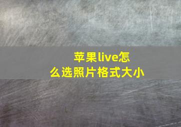 苹果live怎么选照片格式大小