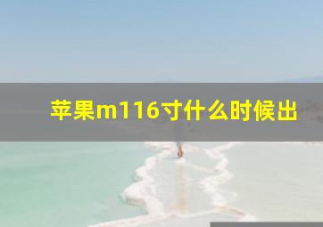 苹果m116寸什么时候出