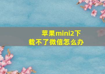 苹果mini2下载不了微信怎么办