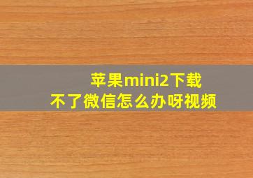 苹果mini2下载不了微信怎么办呀视频