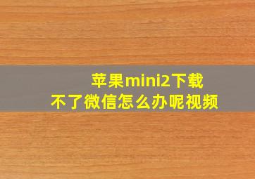 苹果mini2下载不了微信怎么办呢视频