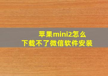 苹果mini2怎么下载不了微信软件安装