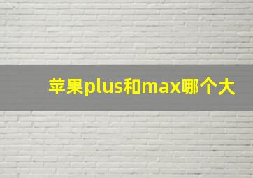 苹果plus和max哪个大