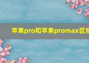 苹果pro和苹果promax区别